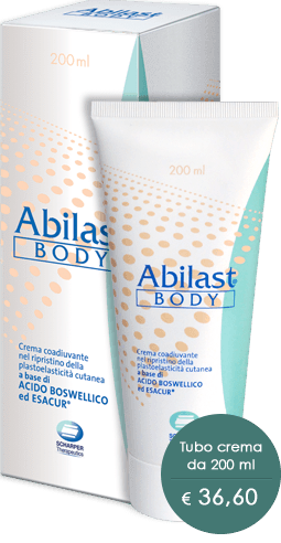abilast body